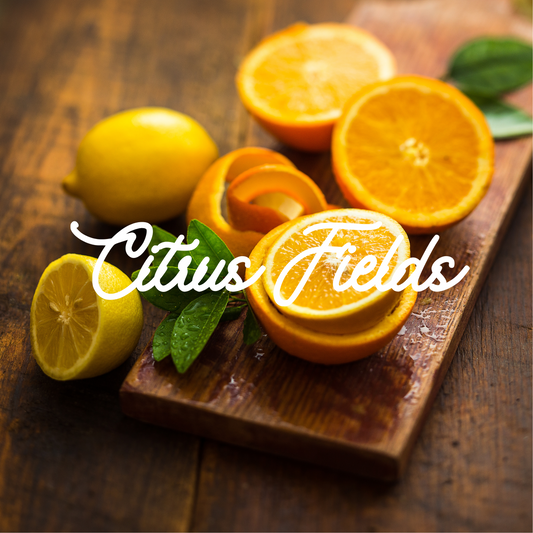 Citrus Fields Natural Soy Wax Candle with Cotton Wick